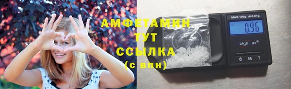 шишки Белоозёрский