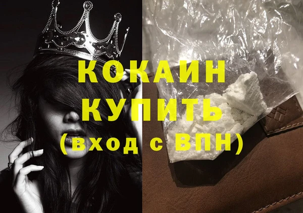 шишки Белоозёрский