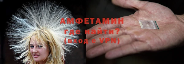 шишки Белоозёрский