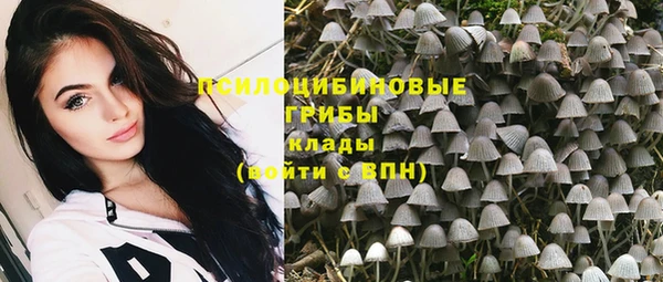 шишки Белоозёрский