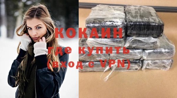 шишки Белоозёрский