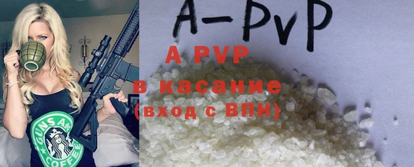 шишки Белоозёрский