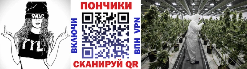 Бошки Шишки ГИДРОПОН  Будённовск 